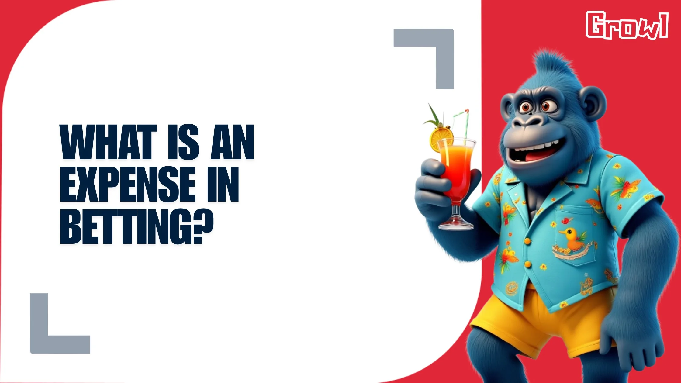 What Is an Expense in Betting?