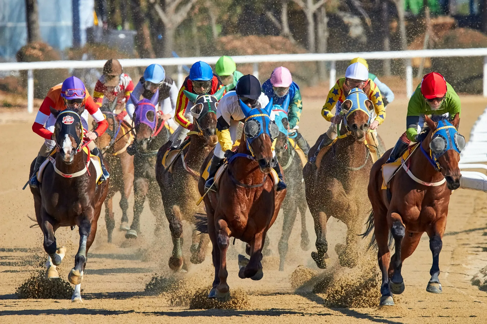 Flutter CEO Calls on UK Gambling Commission to "Pause and Think Again" on Financial Risk Checks